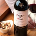 Foto de Copa Vino Casillero Merlot