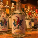 Foto de 4 Nahuales “ Madrecuishe”