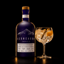 Foto de Gin Tonic Con Agoncagua Handcrafted Azul ⭐Recomendado