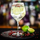Foto de Gin Tonic HEREDERO (Limon o Naranja)