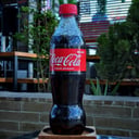 Foto de COCA-COLA 500ml