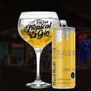 Foto de tropical gin