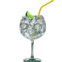 Foto de GIN TONIC