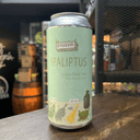 Foto de Byggvir - Ipaliptus (L) 473cc