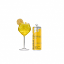 Foto de Tropical Gin
