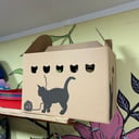 Foto de CAJA DE CARTON