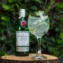 Foto de Gin And Tonic