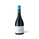 Foto de TANAGRA - SYRAH - VIÑA VILLARD