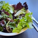 Foto de Ensalada Especial Hojas Verdes