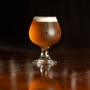 Foto de AMERICAN PALE ALE