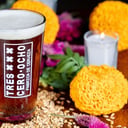 Foto de PUMPKIN SPICE RED ALE