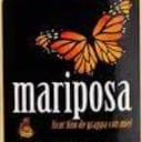 Foto de 698.- No llores mariposa