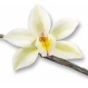 Foto de Extra Vainilla (100% natural)