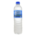 Foto de Agua de mesa x 600c.c. Sierra de los Padres