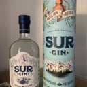 Foto de Gin Sur con estuche