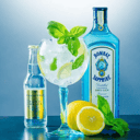 Foto de Gin-Tonic Bombay