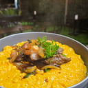 Foto de SALTADO MAR Y TIERRA