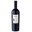 Foto de Viña Requingua