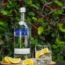 Foto de Absolute (Shot 60ml)