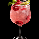 Foto de SUMMER GIN 