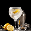 Foto de GIN TONIC