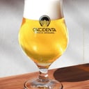 Foto de OKCIDENTA MUNICH LAGER | HELLES