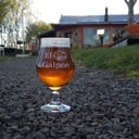 Foto de American ipa (Crafter)