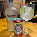 Foto de Gabrí Wild Patagonian (bebida 220 ml)