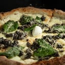 Foto de Funghi e tartuffi