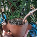 Foto de MATE