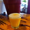 Foto de Exprimido chico de naranja