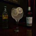 Foto de Tanqueray London dry