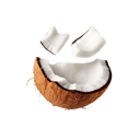 Foto de EXTRA COCO