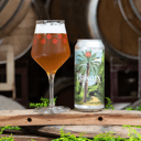 Foto de Plateaux Granizo MOTUEKA 24 MESES 